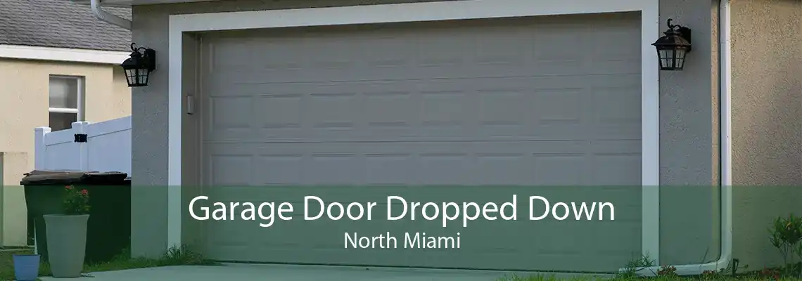 Garage Door Dropped Down North Miami