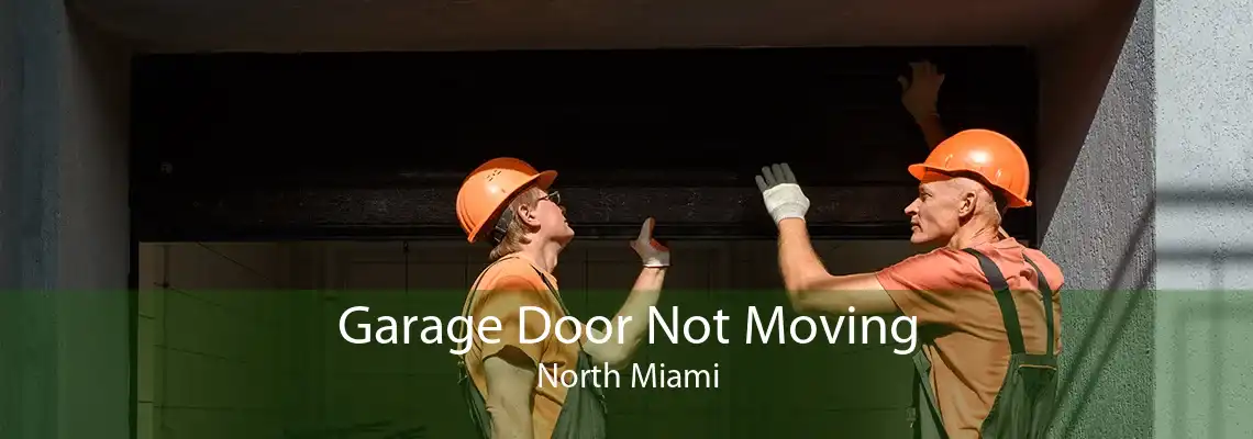 Garage Door Not Moving North Miami