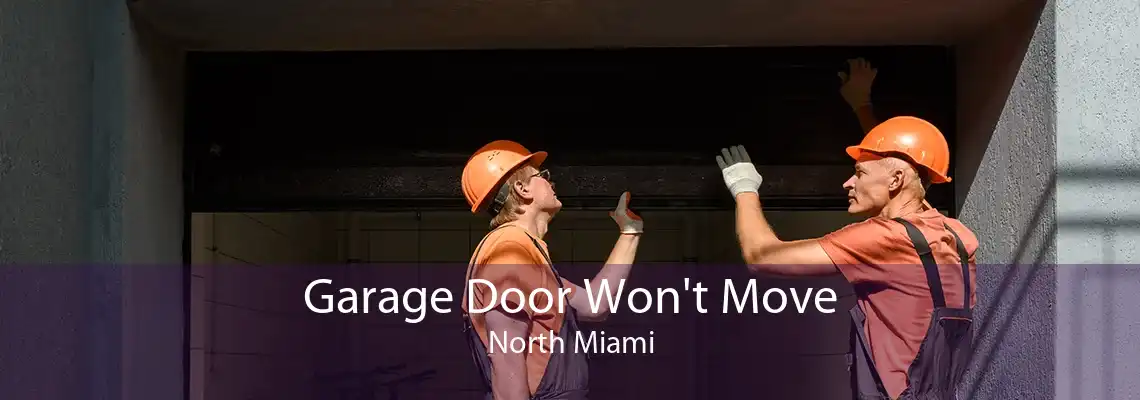 Garage Door Won't Move North Miami